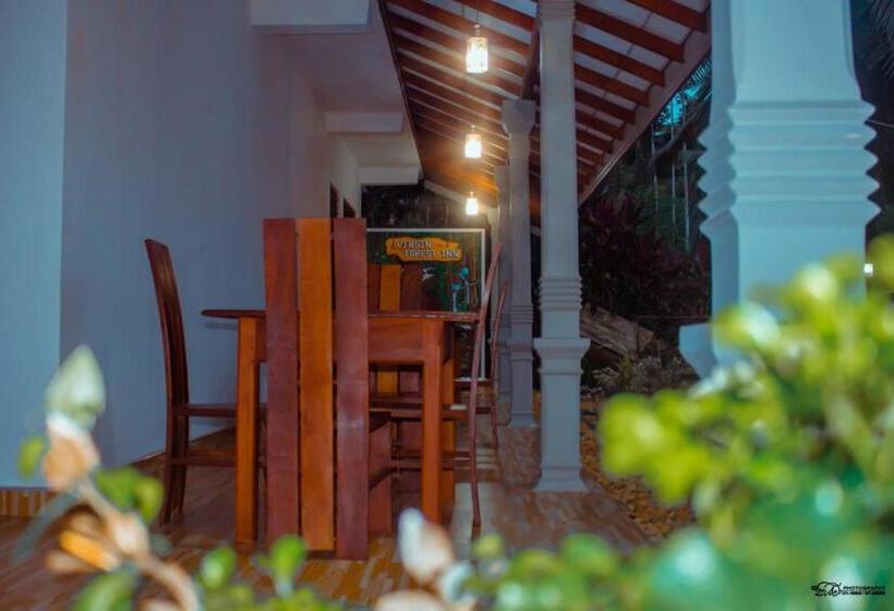 ペンション Virgin Forest Inn