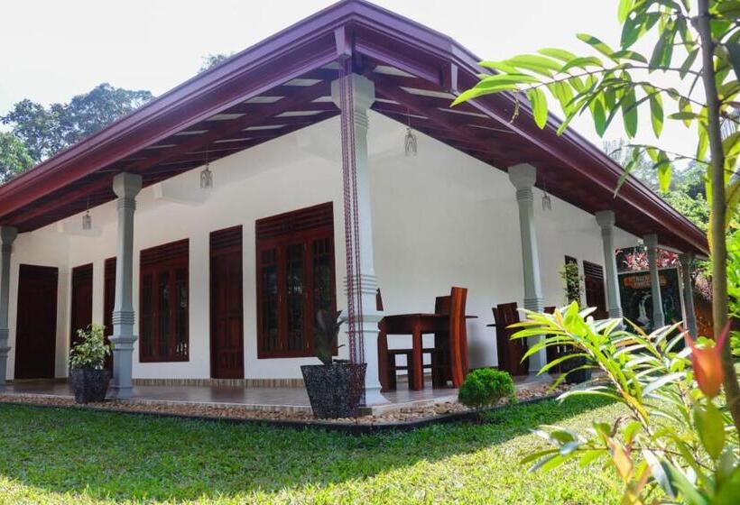 ペンション Virgin Forest Inn