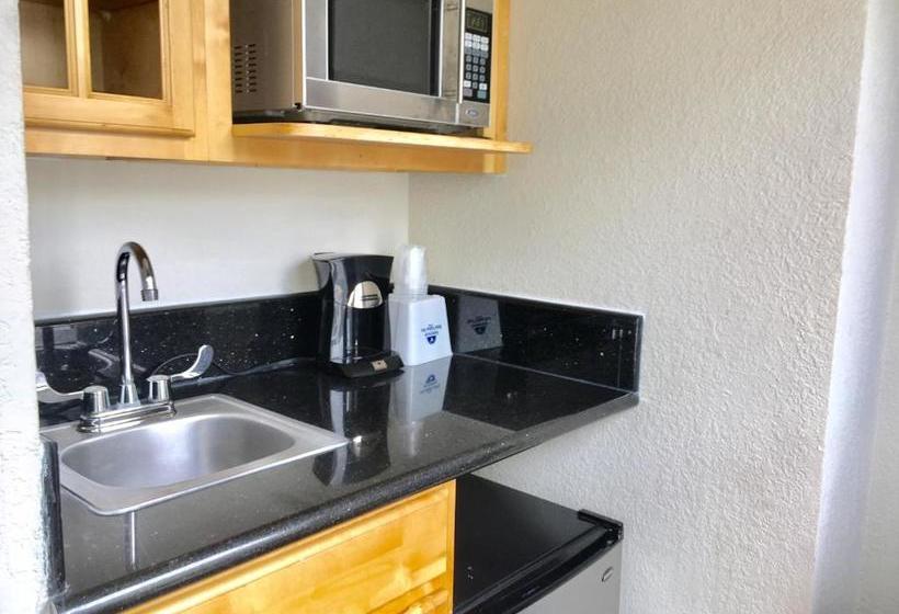 فندق Americas Best Value Inn & Suites  Soma