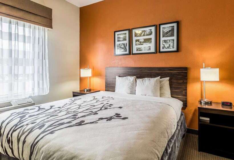 호텔 Sleep Inn & Suites Stafford  Sugarland