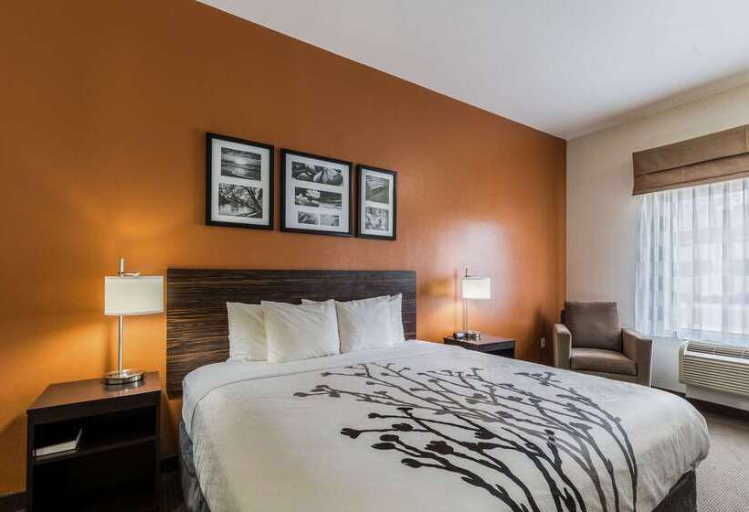 호텔 Sleep Inn & Suites Stafford  Sugarland