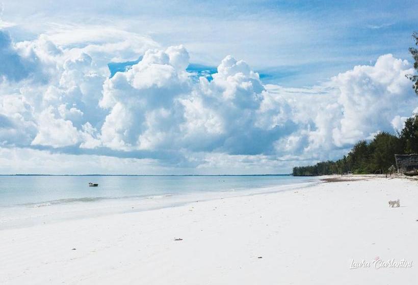 فندق Moonshine Uroa Dikoni Boutique