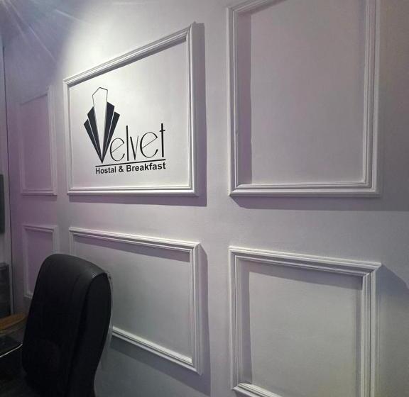 پانسیون Velvet Hostal La Novena