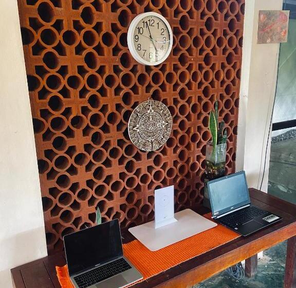 هتل Coccoloba Beach Hostel