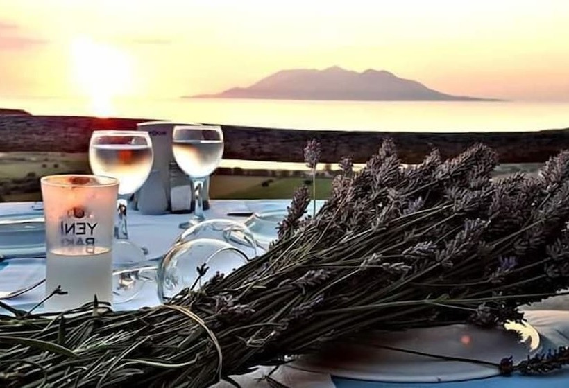 پانسیون Dimitri Ada Evi & Restaurant