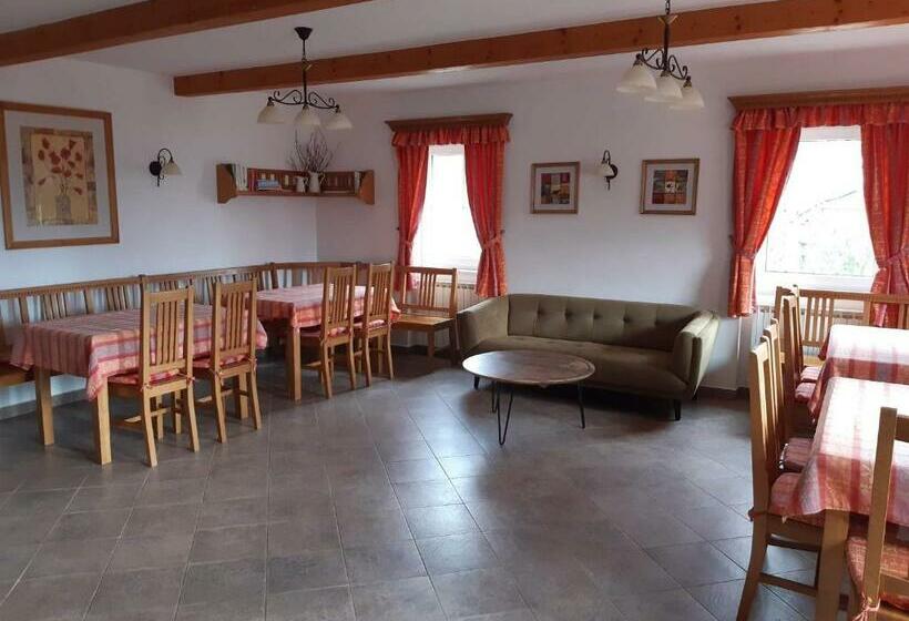 פנסיון Selský Dvůr 2