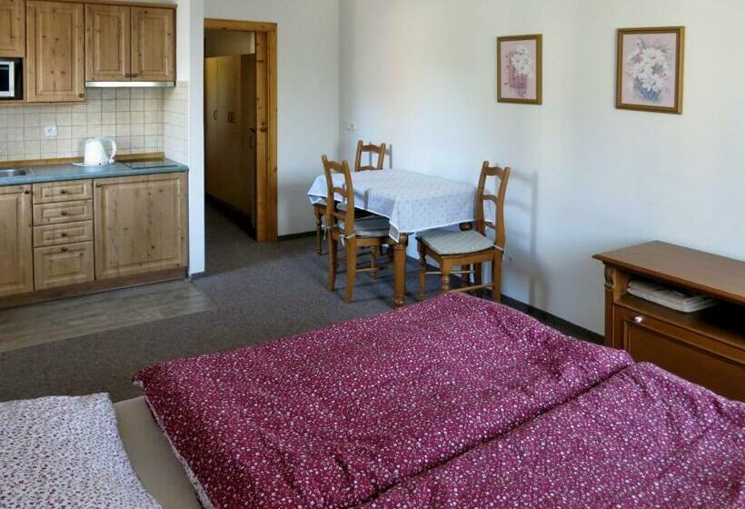 פנסיון Selský Dvůr 2