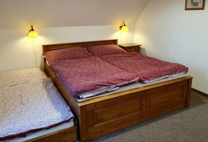 פנסיון Selský Dvůr 2