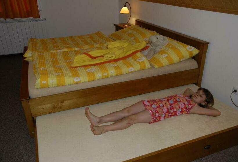 פנסיון Selský Dvůr 2