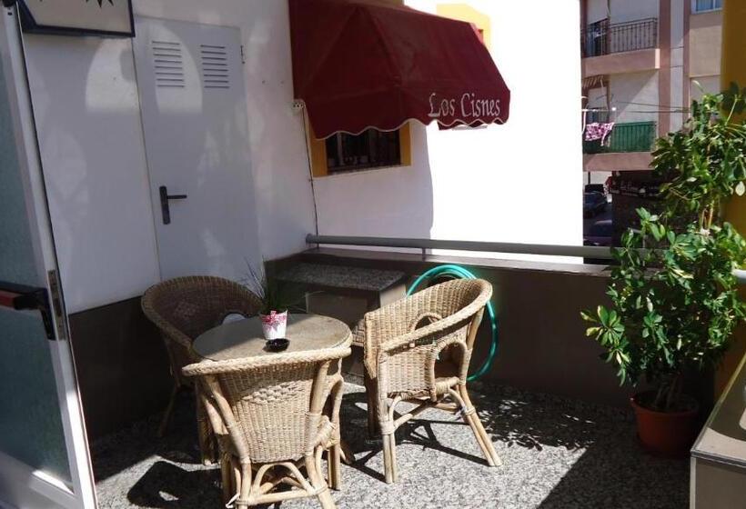 Pension Los Cisnes