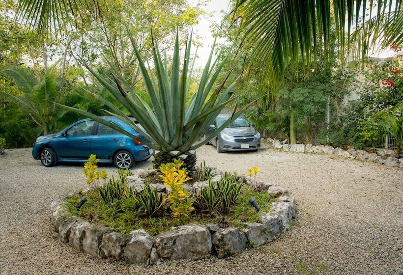 فندق صغير Aldea Joyah