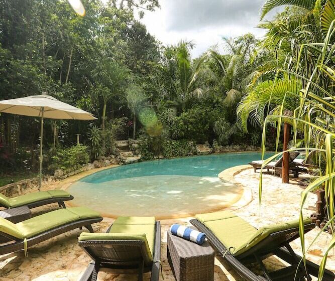 فندق صغير Aldea Joyah