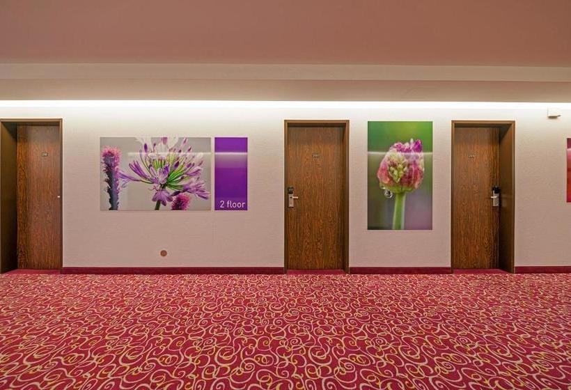 בית מלון כפרי Aigner