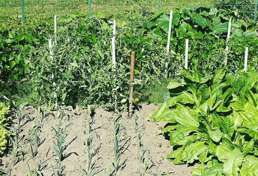 בית מלון כפרי Auberge Le Relais