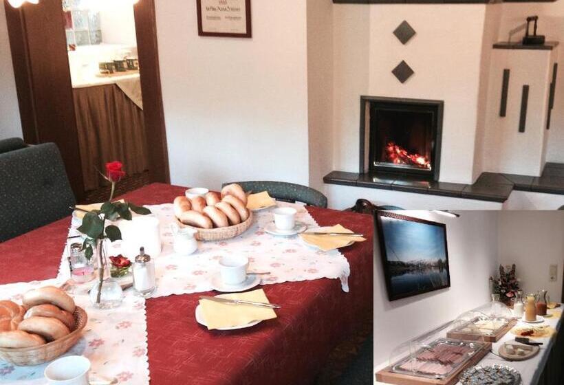 Otto Steiner Appartements Pension Ellmau & Wilder Kaiser