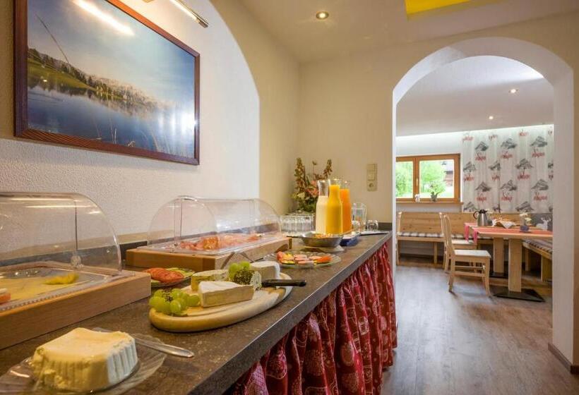 Otto Steiner Appartements Pension Ellmau & Wilder Kaiser