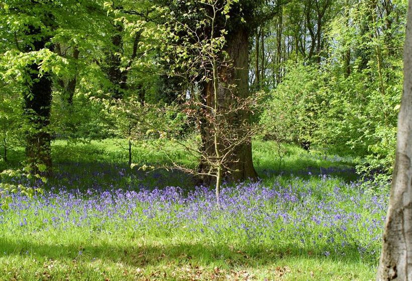 هتل Scalford Country House