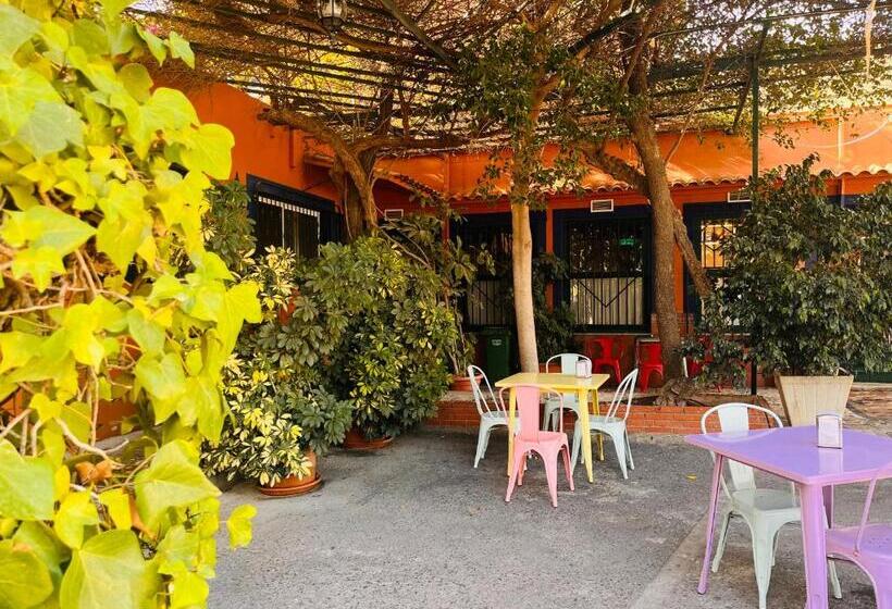 هتل Camping Las Palmeras