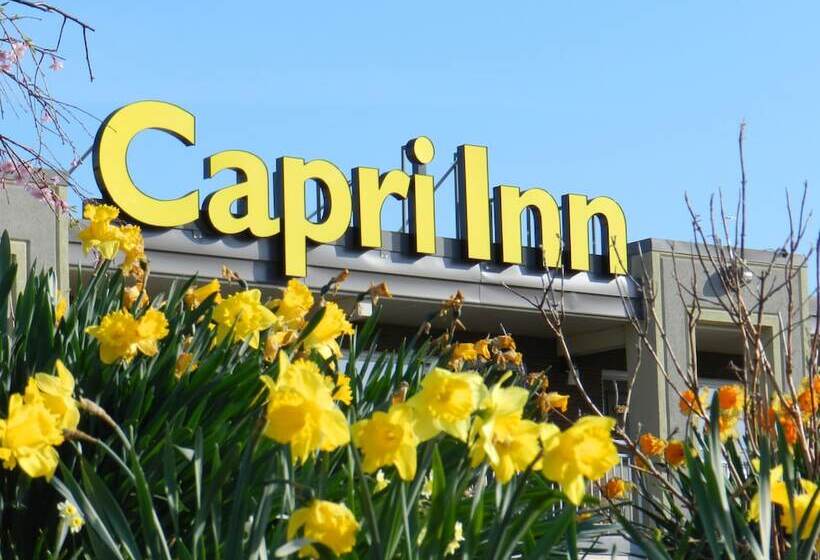 فندق Capri Inn