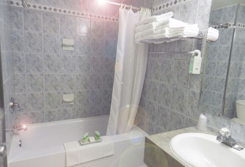فندق Capri Inn