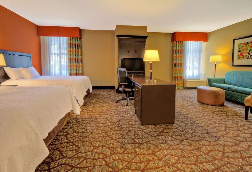 هتل Hampton Inn Ashevilletunnel Rd