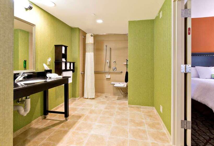 هتل Hampton Inn Ashevilletunnel Rd