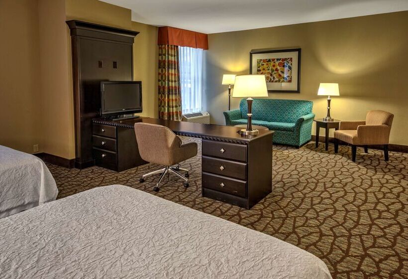 هتل Hampton Inn Ashevilletunnel Rd