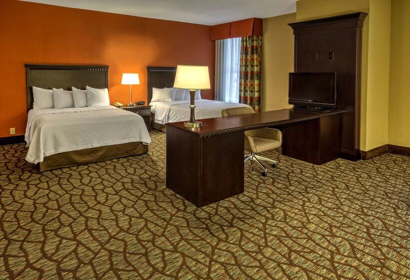 هتل Hampton Inn Ashevilletunnel Rd
