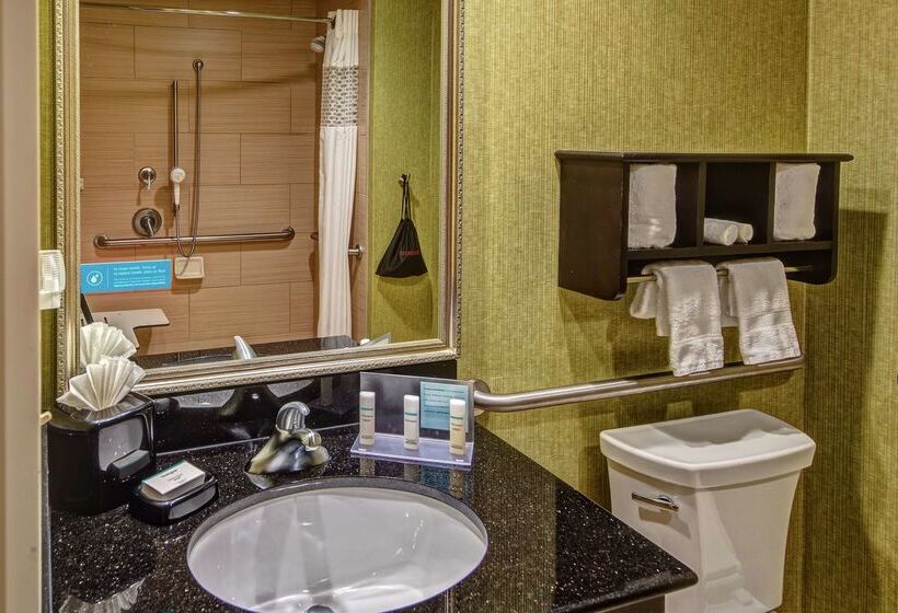 هتل Hampton Inn Ashevilletunnel Rd
