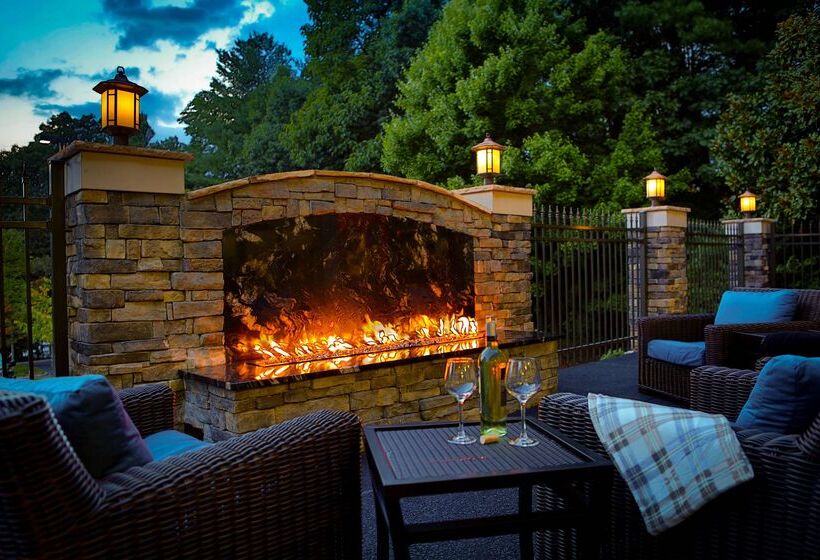 هتل Hampton Inn Ashevilletunnel Rd