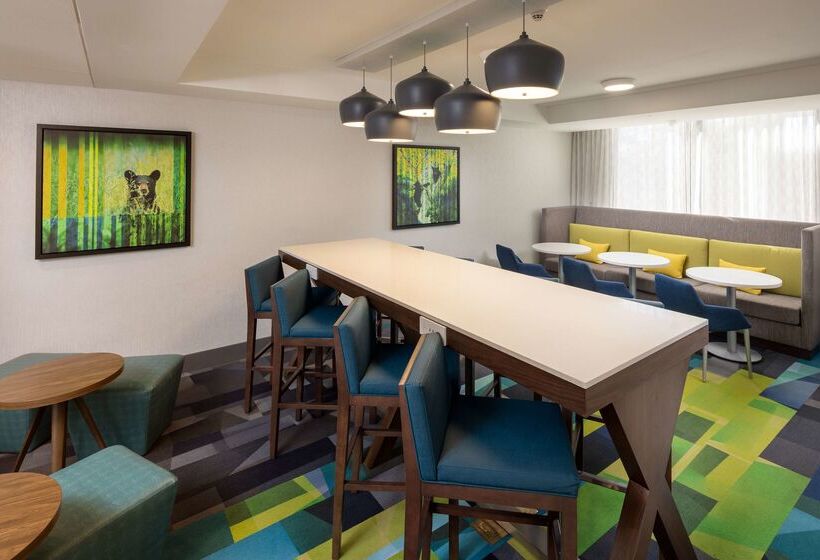 هتل Hampton Inn Ashevilletunnel Rd