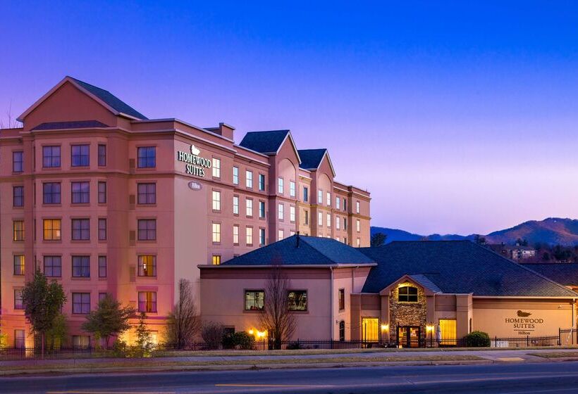 هتل Homewood Suites By Hilton   Asheville