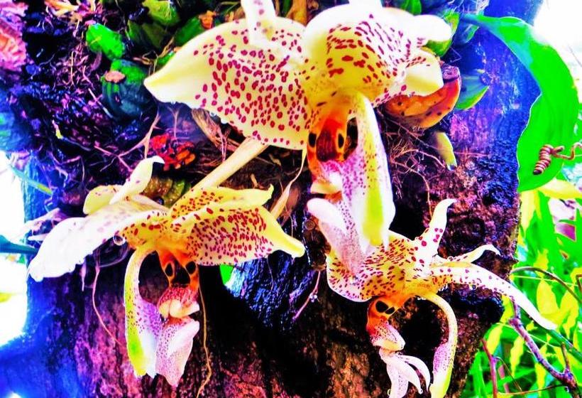 בית מלון כפרי Quinta Do Cabouco