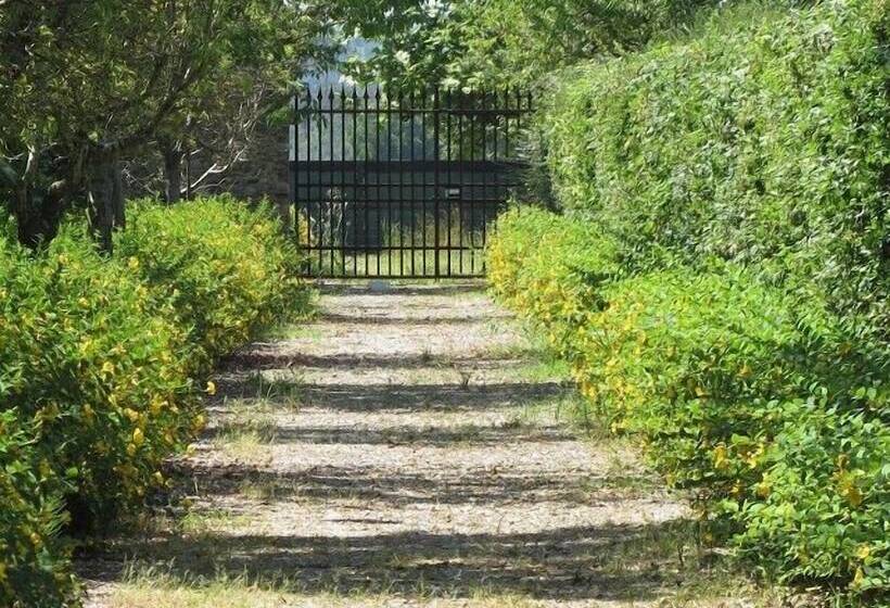 בית מלון כפרי Relais Corte Guastalla Apartments