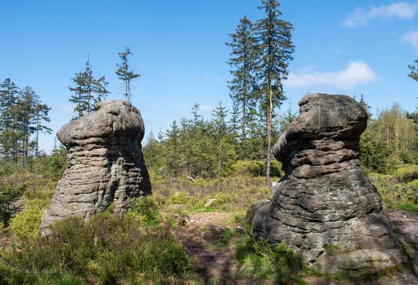 هتل Tommy Wellness & Spa