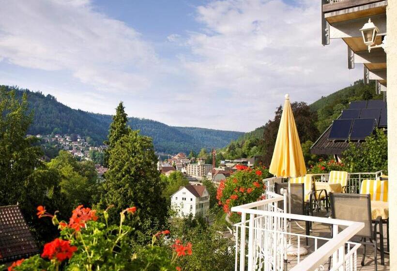 Wellnesshotel Rothfuß Mit Spa Und 2 Schwimmbädern