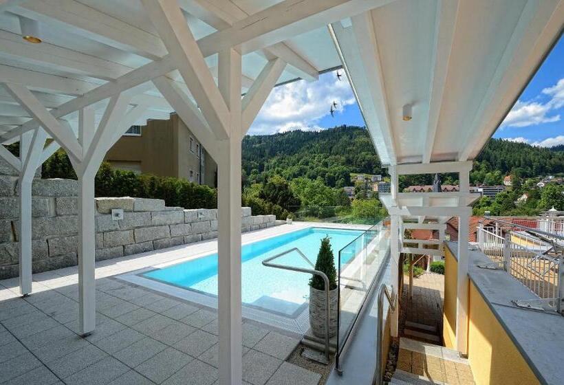 Wellnesshotel Rothfuß Mit Spa Und 2 Schwimmbädern