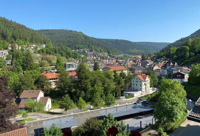 Wellnesshotel Rothfuß Mit Spa Und 2 Schwimmbädern
