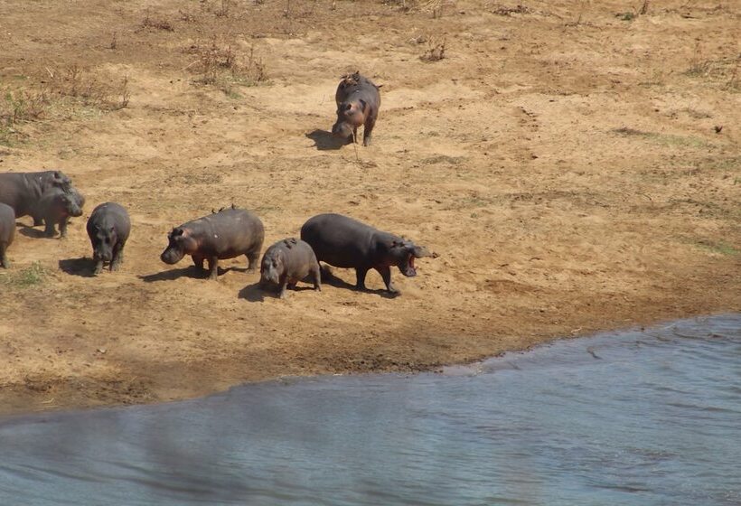 בית מלון כפרי Mthimkhulu Private Game Reserve  Adults Only