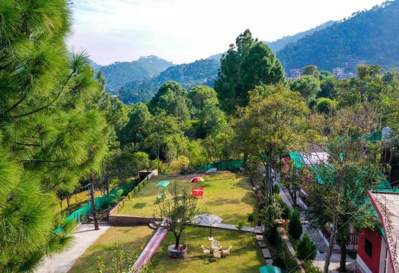 فندق Kasauli Nature Inn
