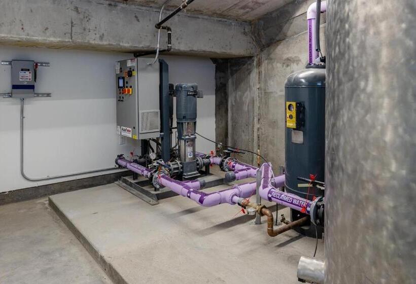 Shashi Hotel Mountain View Palo Alto