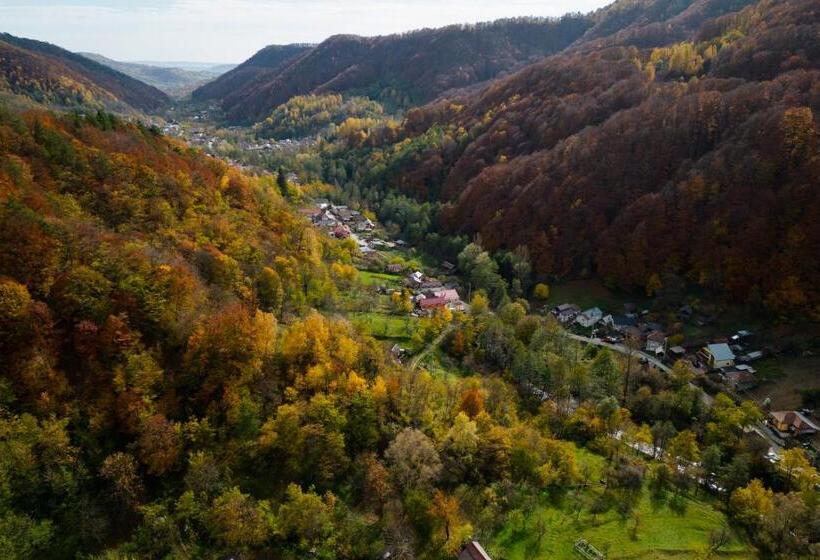 Pensiunea Berg Hill