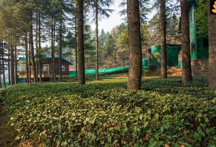 リゾートホテル Livingstone Hilltop Cottage