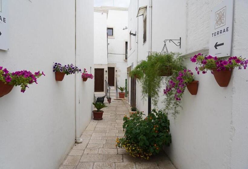 تختخواب و صبحانه Terrae Rooms Rental