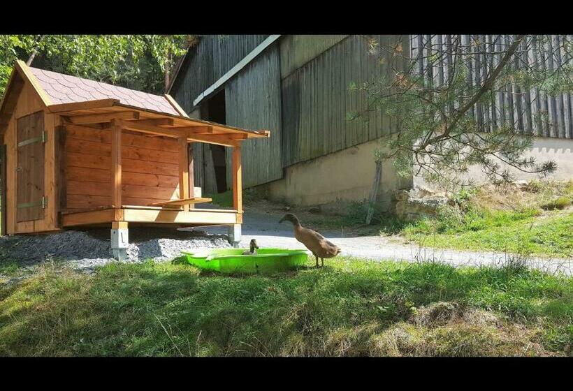 Отель Reiterhof Finkenmühle Fewo Sancho