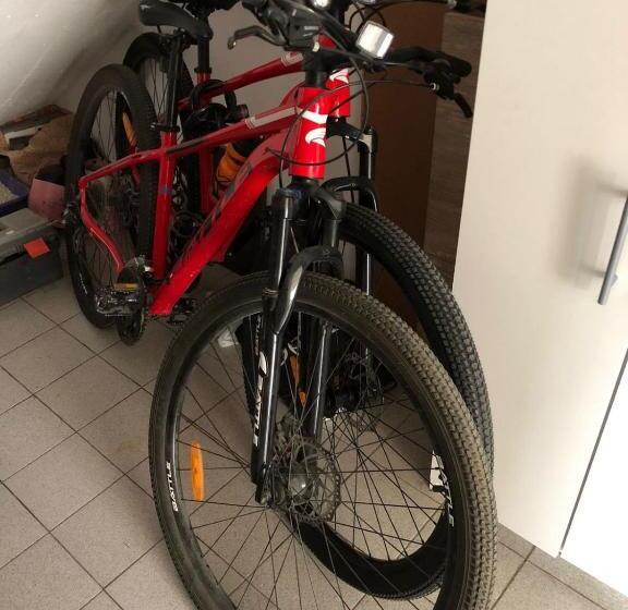 Arenas B&b  Casa Compartida