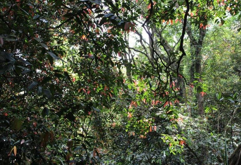 פנסיון Hidden Heaven