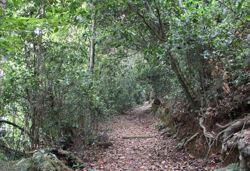 פנסיון Hidden Heaven