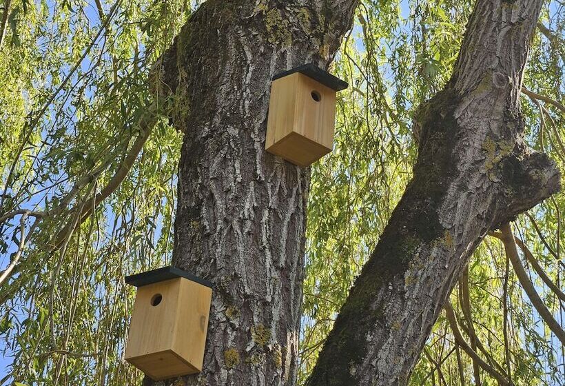 Отель Campanile Deauville  Saint Arnoult