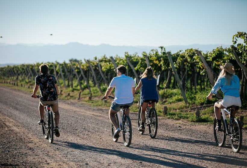 Casa Agostino   Luxury Wine And Hotel In Bodega Agostino